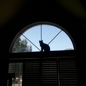 Meet your Posher, Julia