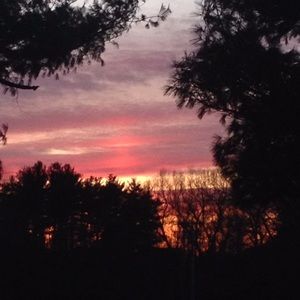 Meet your Posher, Piper