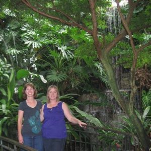 Meet your Posher, Lisa