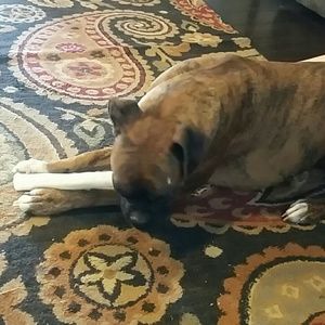 Meet your Posher, Karrie