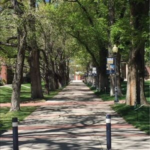 Meet your Posher, Lacey