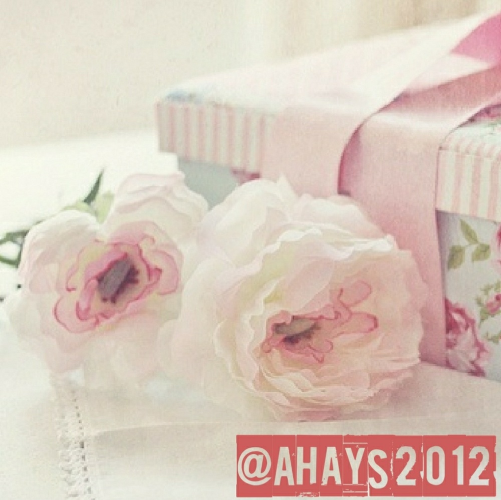 • @ahays2012 •