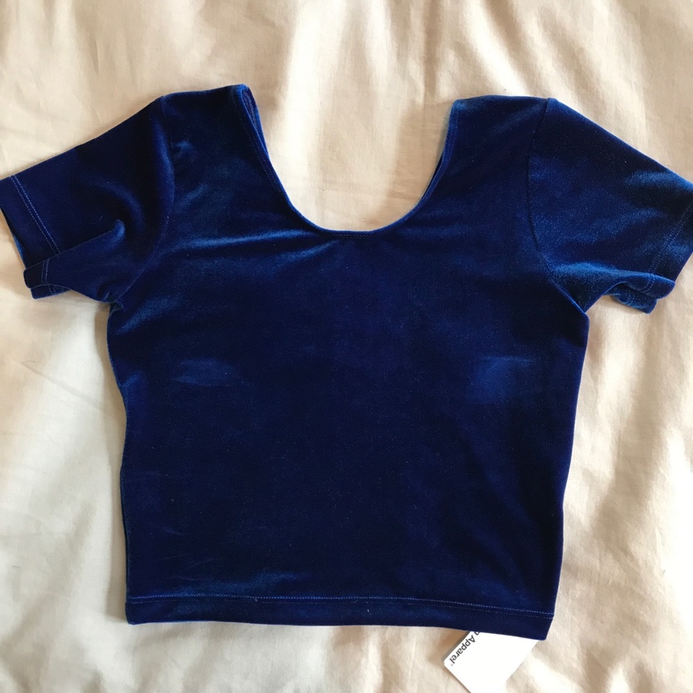 NWT Stretch Velvet Crop Tee