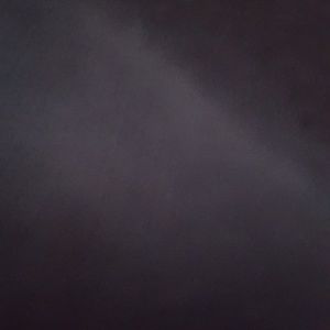 Meet your Posher, Harry