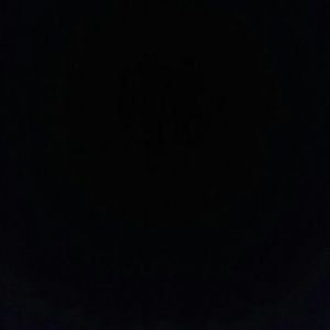 Meet your Posher, Elmer