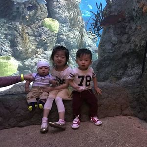 Meet your Posher, An