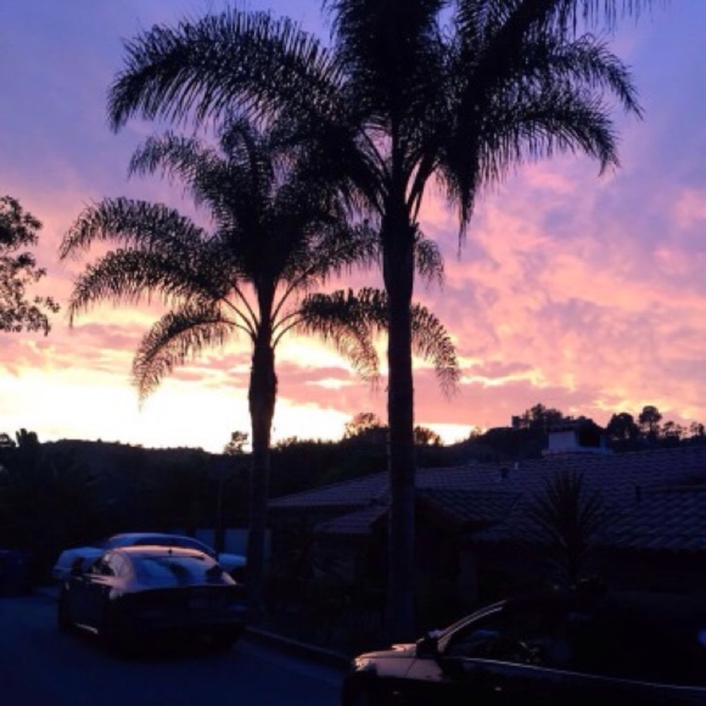 Meet your Posher, Gen