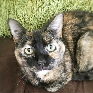 Meet your Posher, Ashliegh