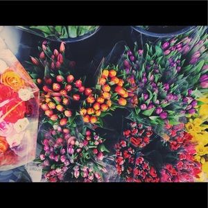 Meet your Posher, Calli