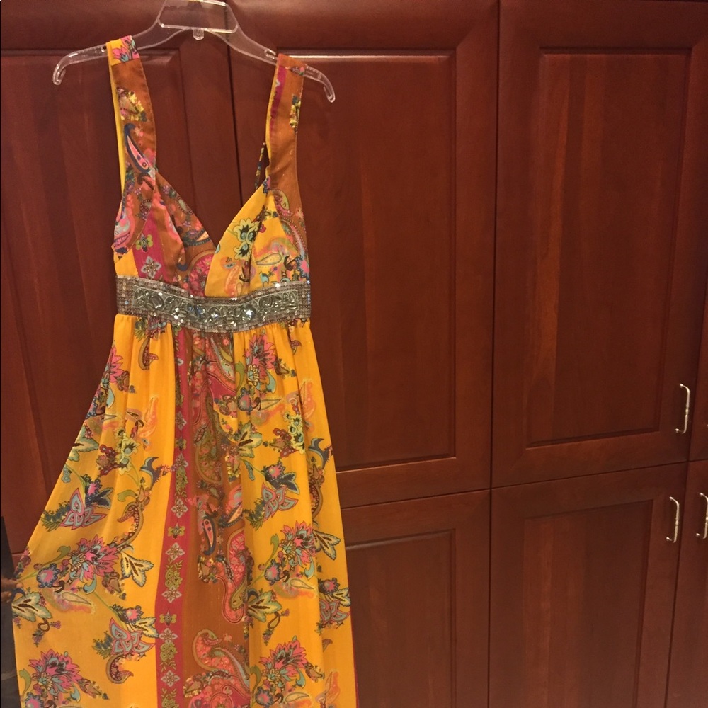 Arden B dress.