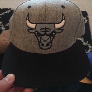 Bulls SnapBack