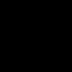 Meet your Posher, Phillip