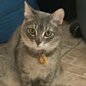 Meet your Posher, Timisha