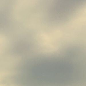 Meet your Posher, Shay