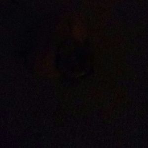 Meet your Posher, Ben