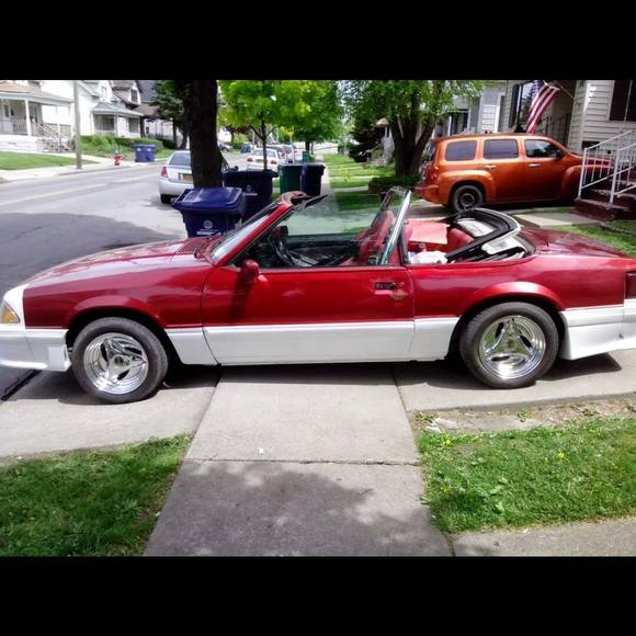 Meet your Posher, David - Picture 1 of 1