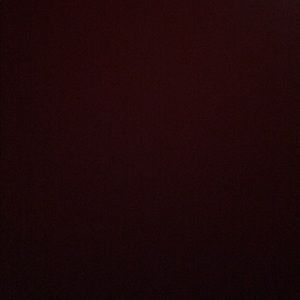 Meet your Posher, Chanel