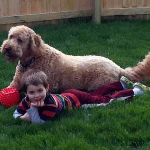 Meet your Posher, Dan