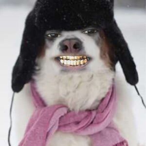 Meet your Posher, Black