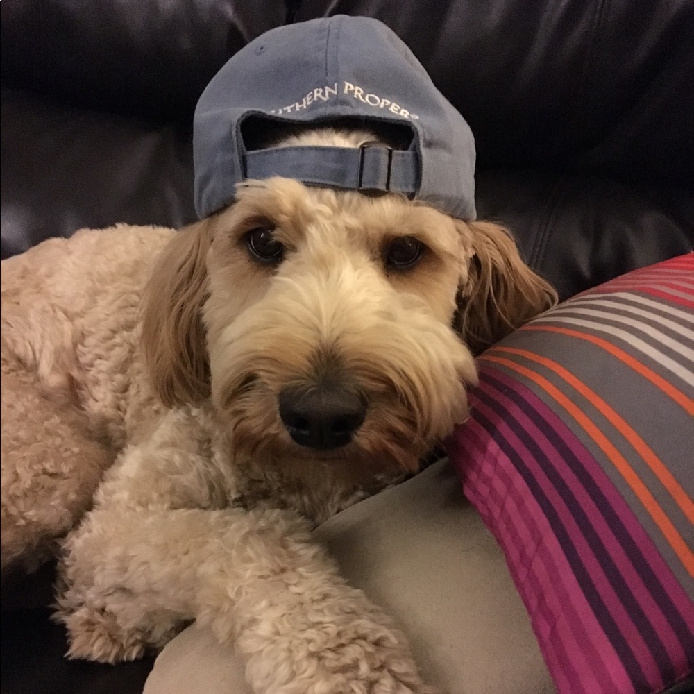 Meet your Posher, John