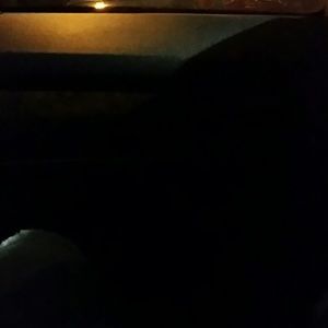 Meet your Posher, Jerry