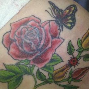 Meet your Posher, Susan