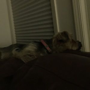 Meet your Posher, Sharon