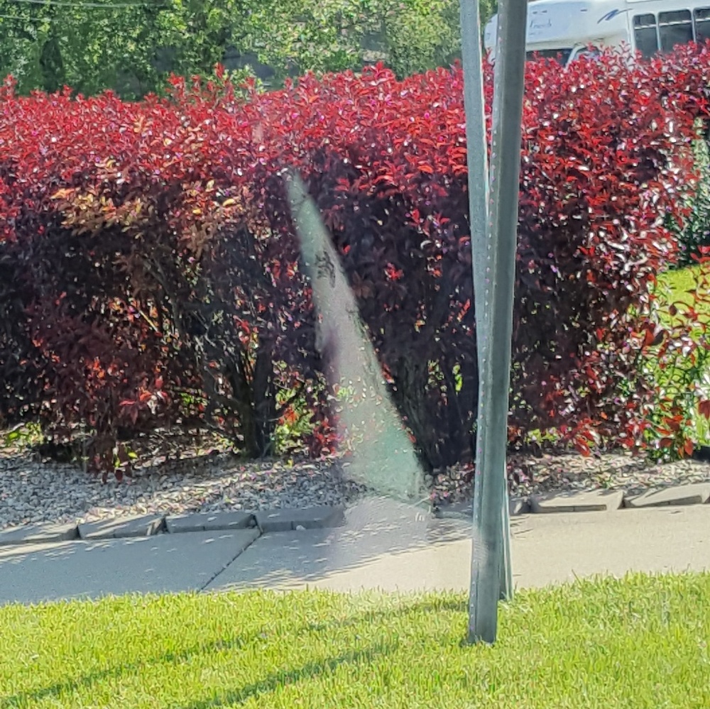 Meet your Posher, Ann