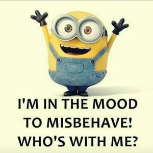 Meet your Posher, Amor