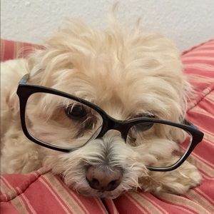 Meet your Posher, Grayson