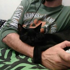 Meet your Posher, Kat