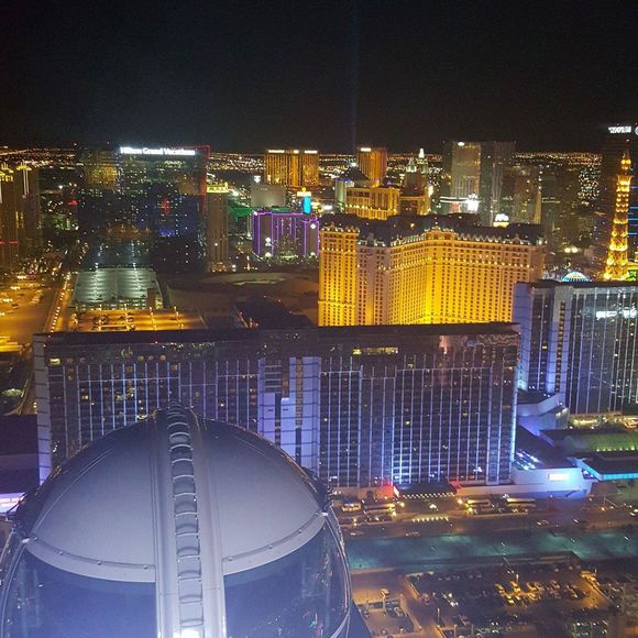 Meet your Posher, Bull - Picture 1 of 1