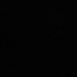 Meet your Posher, Daiza