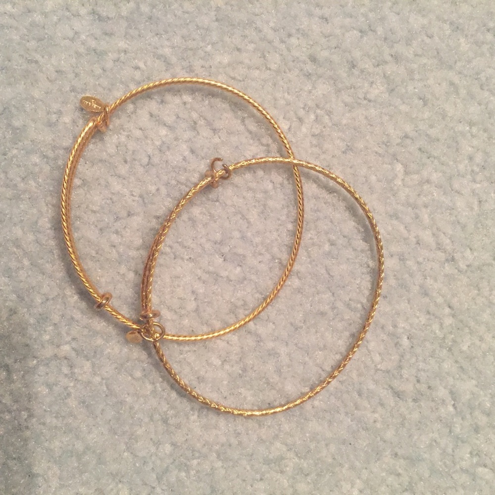 2 alex and ani bangles !