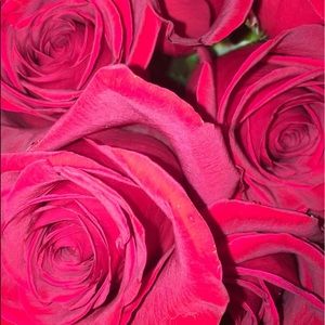 Meet your Posher, Deysi