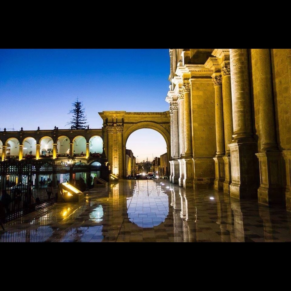 Meet your Posher, Coco