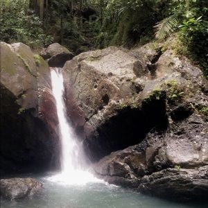 Meet your Posher, Waldemar