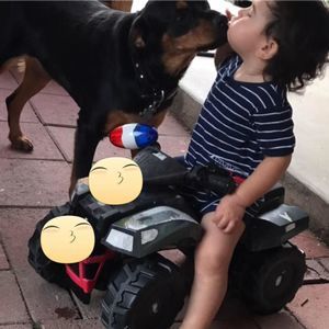 Meet your Posher, Bonnie