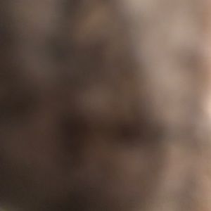 Meet your Posher, Yazzy