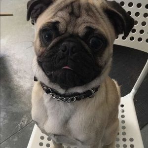 Meet your Posher, Erick