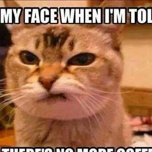 Meet your Posher, Marcy