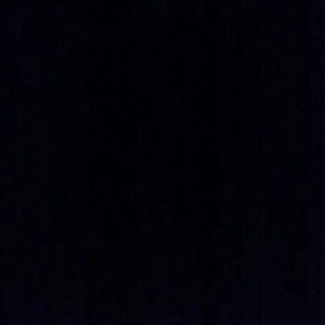 Meet your Posher, Abigail