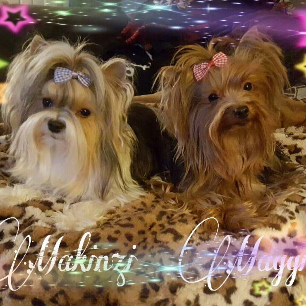 Showin off my pride n joy