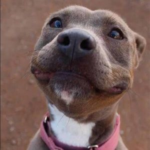 Meet your Posher, Andre