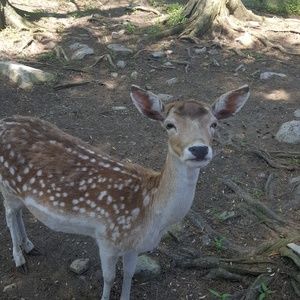 Meet your Posher, Patricia