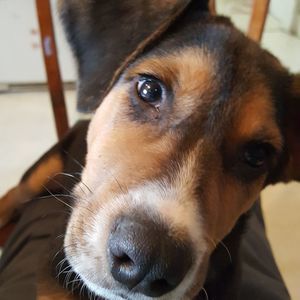 Meet your Posher, Elizabeth