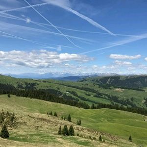 Meet your Posher, Matthew