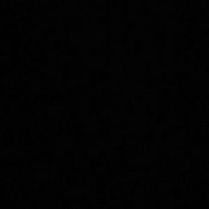 Meet your Posher, Joy