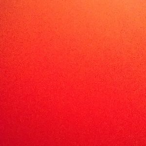 Meet your Posher, Shelly