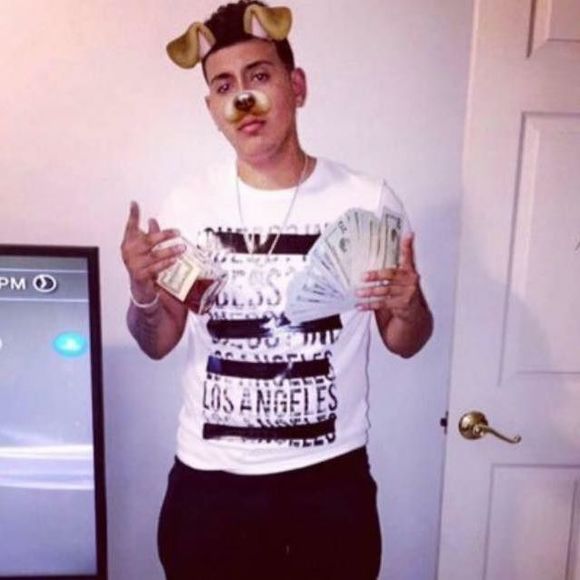 Meet your Posher, Oscar - Picture 1 of 1